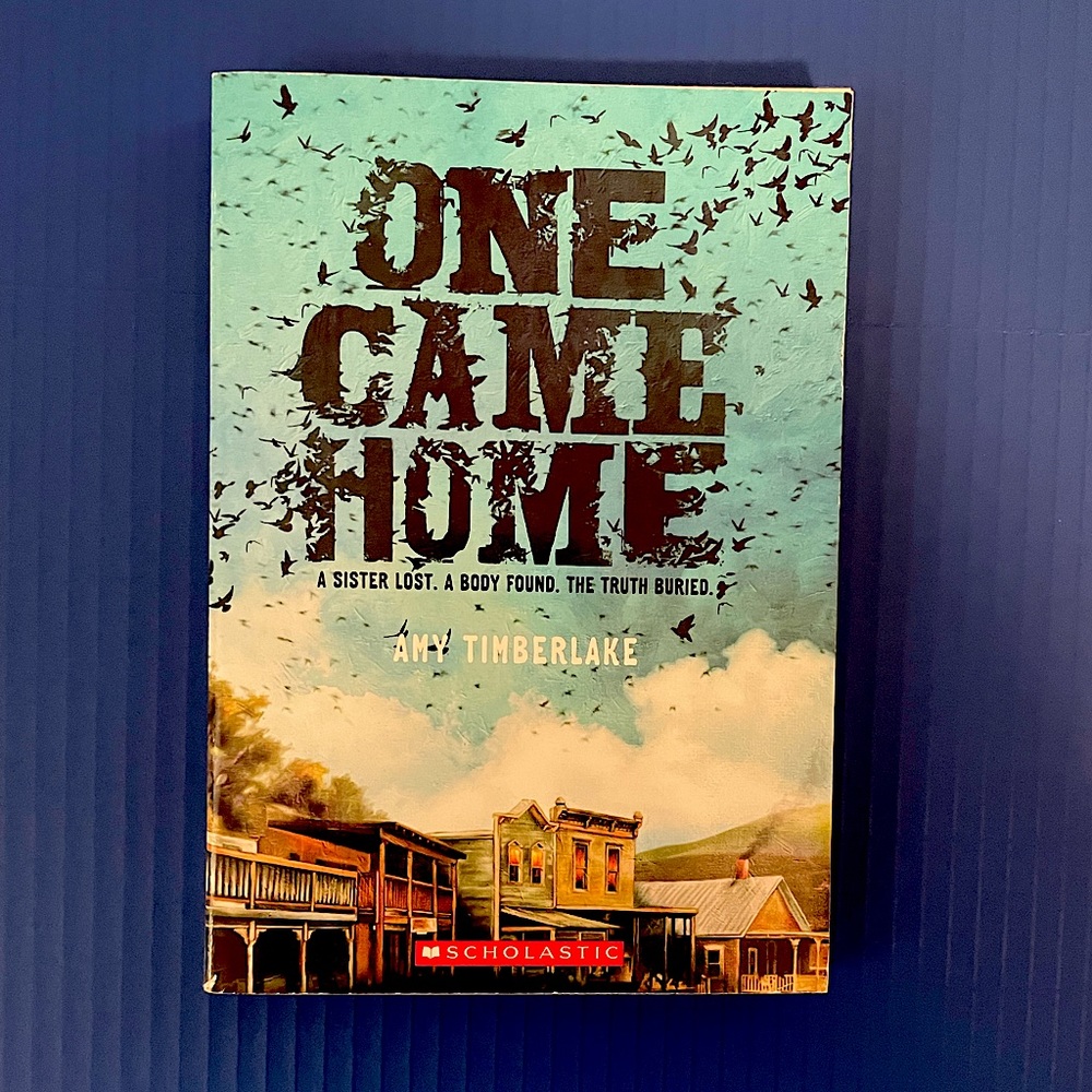 One Came Home by Amy Timberlake Paperback Book
